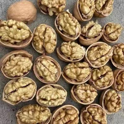 Chinese walnuts, nut food, dried fruit products, paper walnuts 185, walnuts in shell