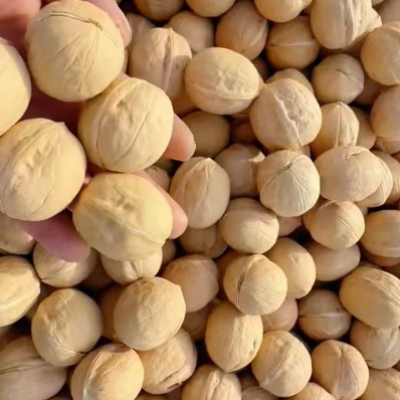 Chinese Professional Kernel Walnut 33 Producer Supplier Manufacturer