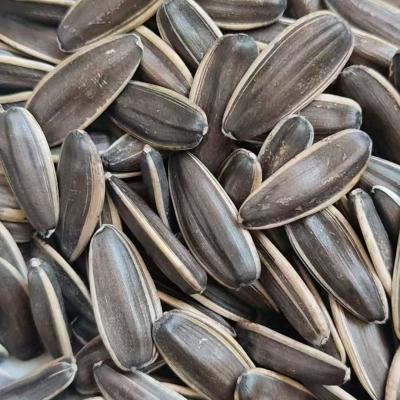 Chinese Bulk Sunflower Seeds Type 190-200 Sunflower Seed Market Price