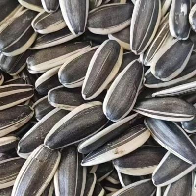 High Quality Sunflower Seeds Chinese Wholesale Sunflower Seeds