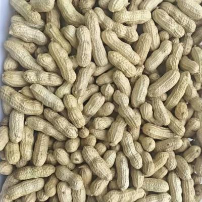 Premium Quality Snacks Fried Original Tastes Whole peanuts