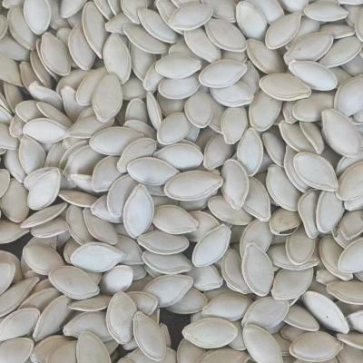 Wholesale Pumpkin Seeds Kernels High Quality Pepitas Seeds for Global Food Market